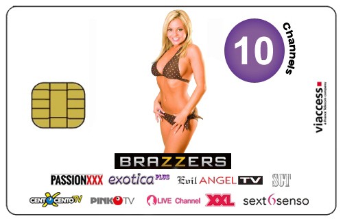 SCT Satisfaction Television 10 Sender 1 Jahr Viaccess inkl. Brazzers TV